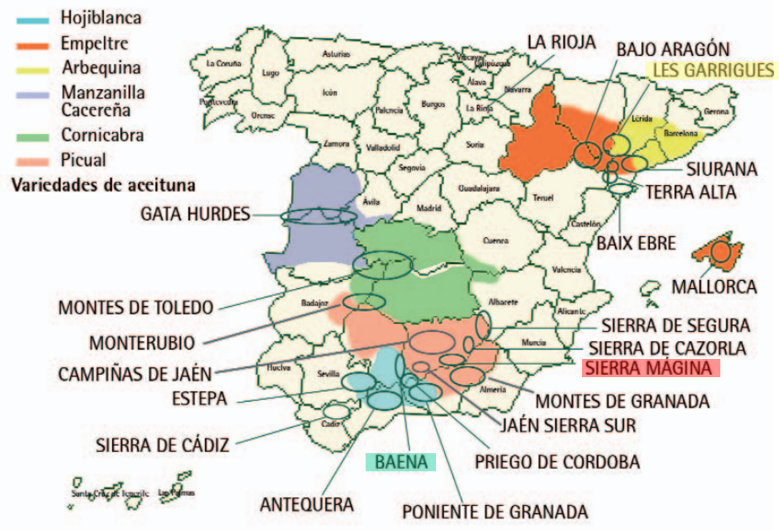 Map of Spanish designations of origin and olive varieties
