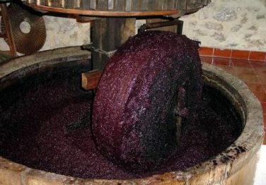 Traditional olive crushing